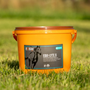 FORAN Equi-Lyte G elektrolity 4kg