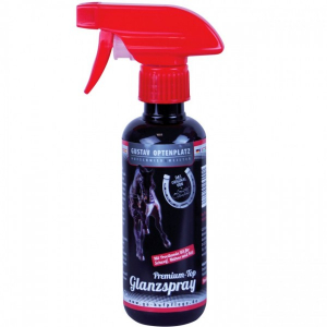 Premium Top Glanzspray Optenplatz 250 ml