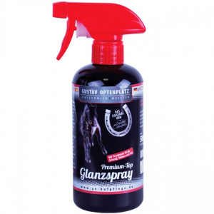 Premium Top Glanzspray Optenplatz 500 ml