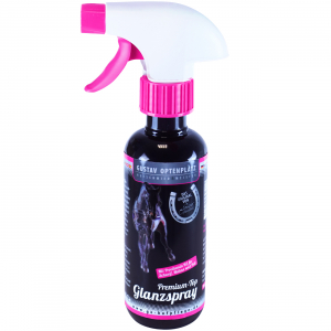 Premium Top Glanzspray GirlzSerie Optenplatz 250 ml