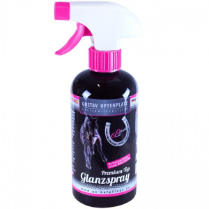 Premium Top Glanzspray GirlzSerie Optenplatz 500 ml